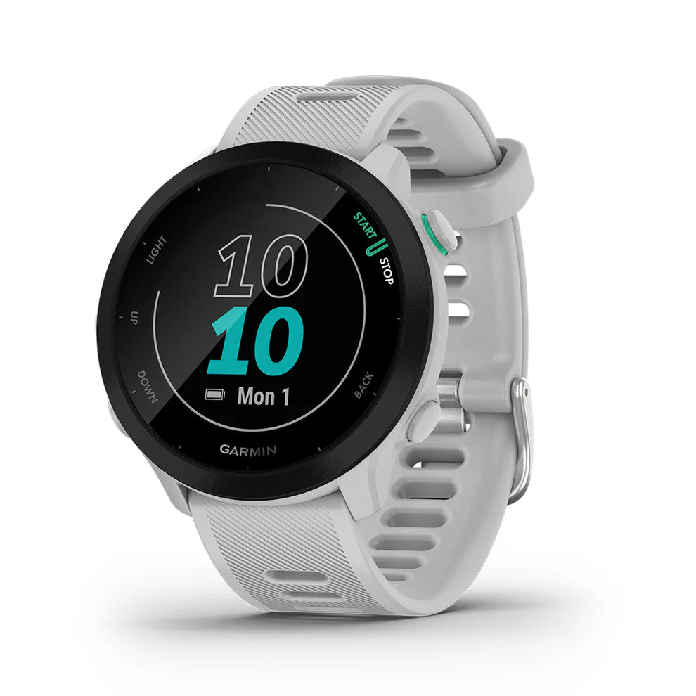 Relógio Smartwatch Garmin Forerunner 55 (42mm)