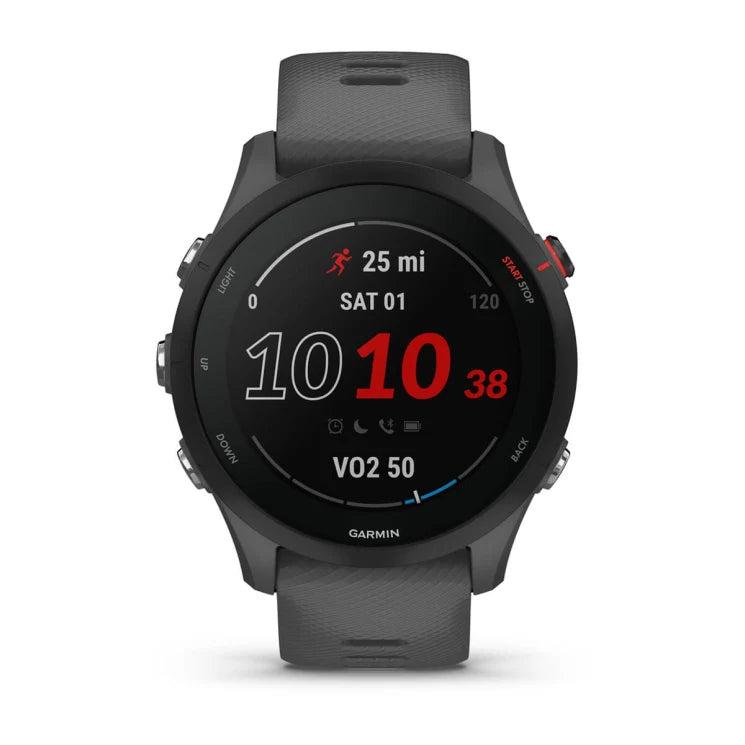 Relógio Smartwatch Garmin Forerunner 255 (46mm) - Cinza